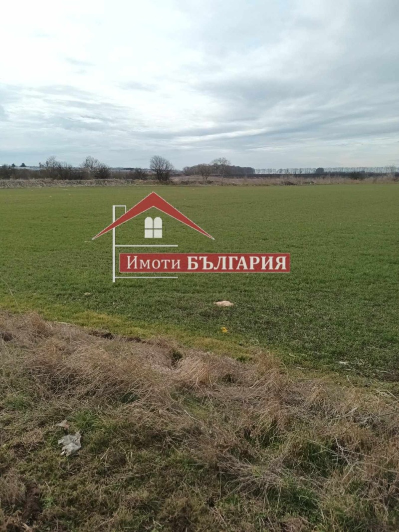 Продава ПАРЦЕЛ в област Добрич, с. Царичино - 11000 кв.м / 52 151.77 € » 102 000 лв., НЕДВИЖИМИ ИМОТИ В БЪЛГАРИЯ