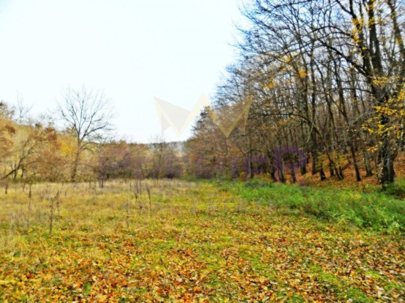 Продава ПАРЦЕЛ в град Варна, с. Звездица - 12557 кв.м / 199 900 € » 390 970.42 лв., ИМОТИ ПРЕМИЕР
