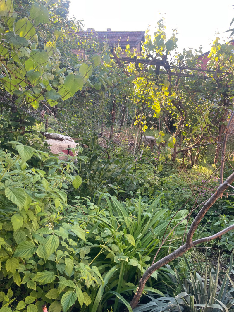 Na prodej  Dům Sofia , Obelja 1 , 118 m2 | 30322618 - obraz [10]