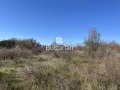 Продава ПАРЦЕЛ, област Варна, с. Метличина • 12000 € • 89574536 — Holmes.bg