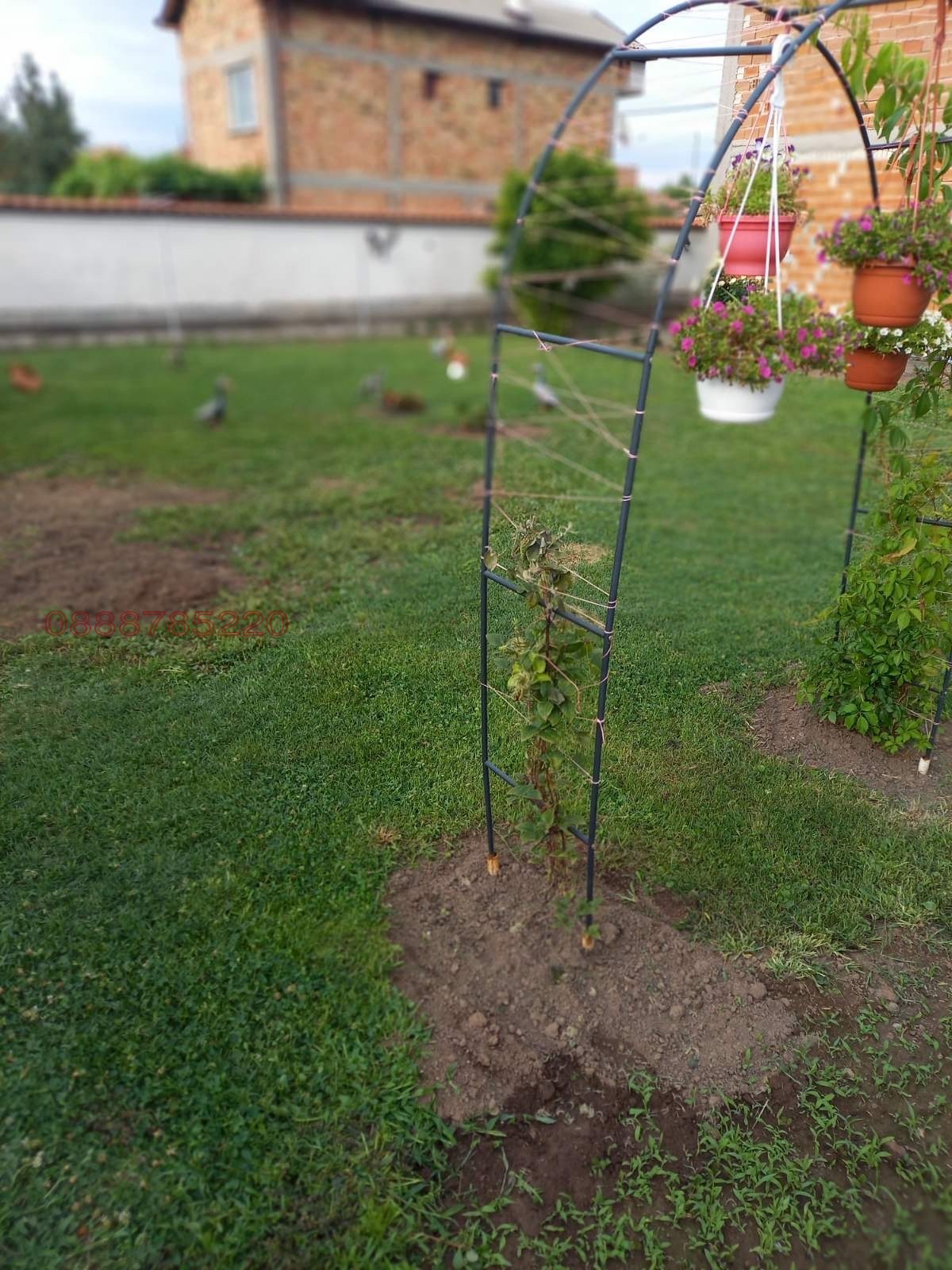 ������� ���� | Imot.bg � ����������� 12