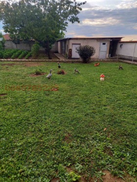 ������� ���� | Imot.bg � ����� ������ 13