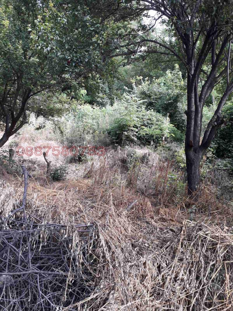 Продава КЪЩА, гр. Белово, област Пазарджик, снимка 5 - Къщи - 52786236