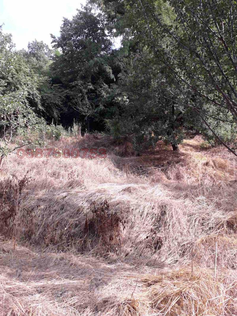 Продава КЪЩА, гр. Белово, област Пазарджик, снимка 11 - Къщи - 52786236