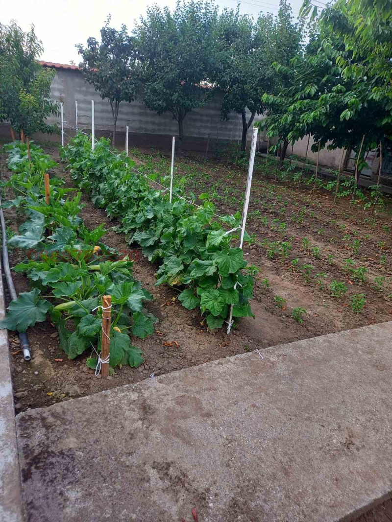 Продава КЪЩА, с. Боянци, област Пловдив, снимка 16 - Къщи - 53093414