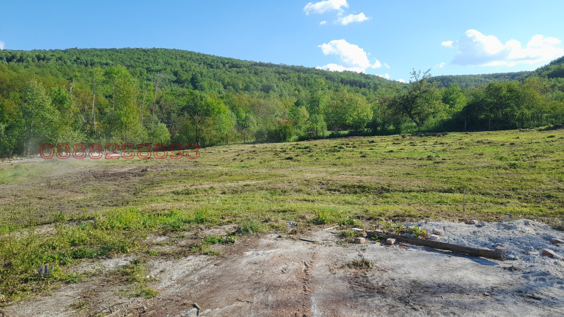 Продава БИЗНЕС ИМОТ, с. Дълбок дол, област Ловеч, снимка 14 - Други - 52782069