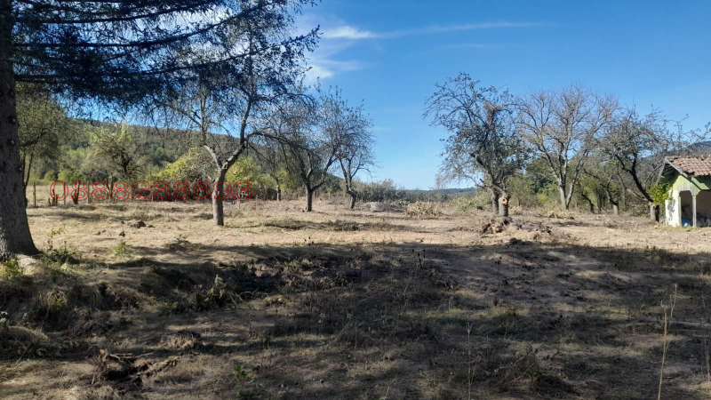 Продава БИЗНЕС ИМОТ, с. Дълбок дол, област Ловеч, снимка 4 - Други - 52782069