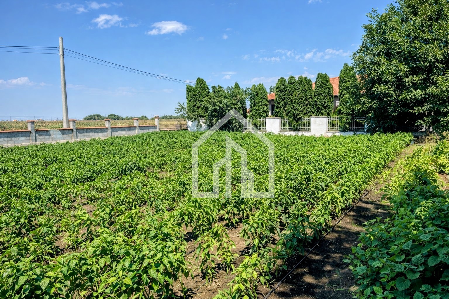 Продава КЪЩА, с. Крапец, област Добрич, снимка 6 - Къщи - 53818453