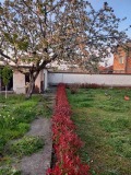 Продава КЪЩА, с. Боянци, област Пловдив, снимка 1