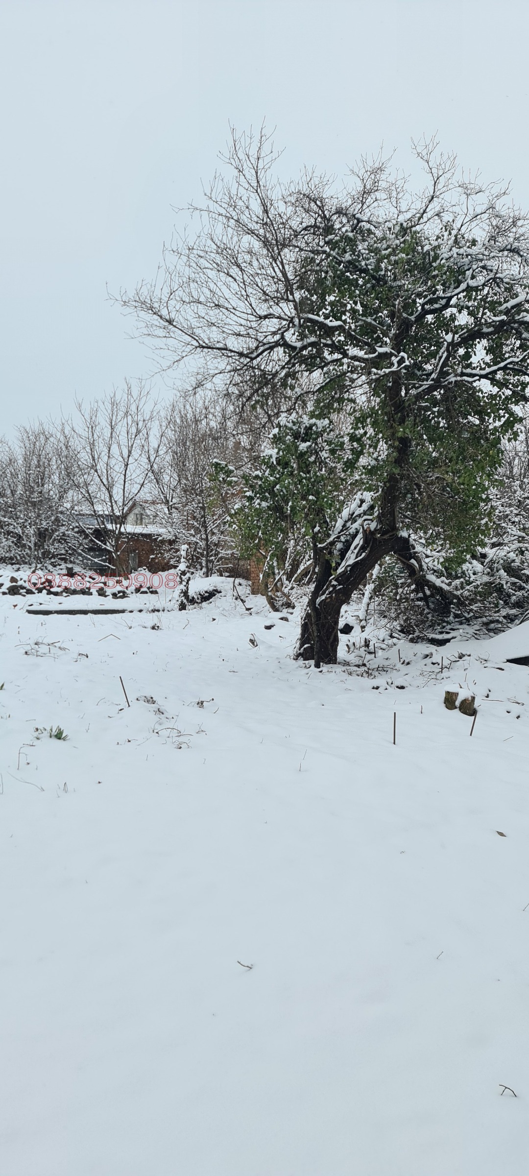 ������� ���� | Imot.bg � ����������� 14