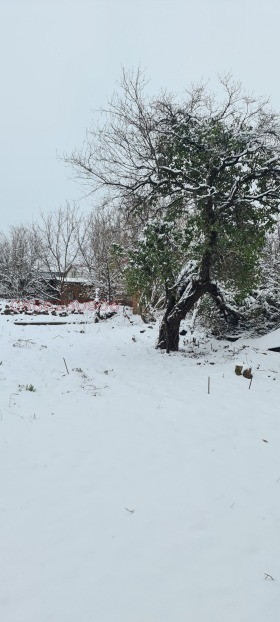 ������� ���� | Imot.bg � ����� ������ 14