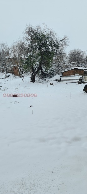 ������� ���� | Imot.bg � ����� ������ 13