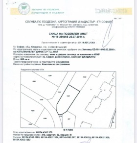 ������ ������� ������