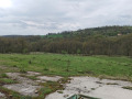 Продава ЗЕМЕДЕЛСКА ЗЕМЯ, с. Солник, област Варна, снимка 2