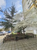 Продава  3-стаен град Варна , Аспарухово , 66 кв.м | 62476507 - изображение [2]