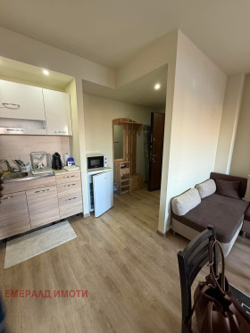 1 bedroom Bansko, region Blagoevgrad 5