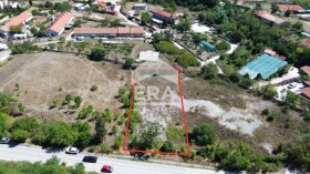 ����� ������� ������,���� �����, ������