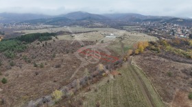 ������ ������� ������