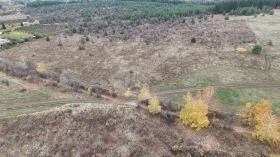 ������� ������ | Imot.bg � ����� ������ 8