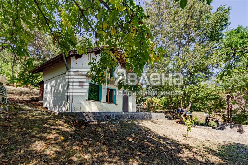 Na prodej  Spiknutí Sofia , Knjaževo , 700 m2 | 17665536 - obraz [3]