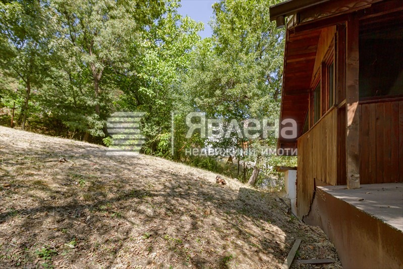 Na prodej  Spiknutí Sofia , Knjaževo , 700 m2 | 17665536 - obraz [7]