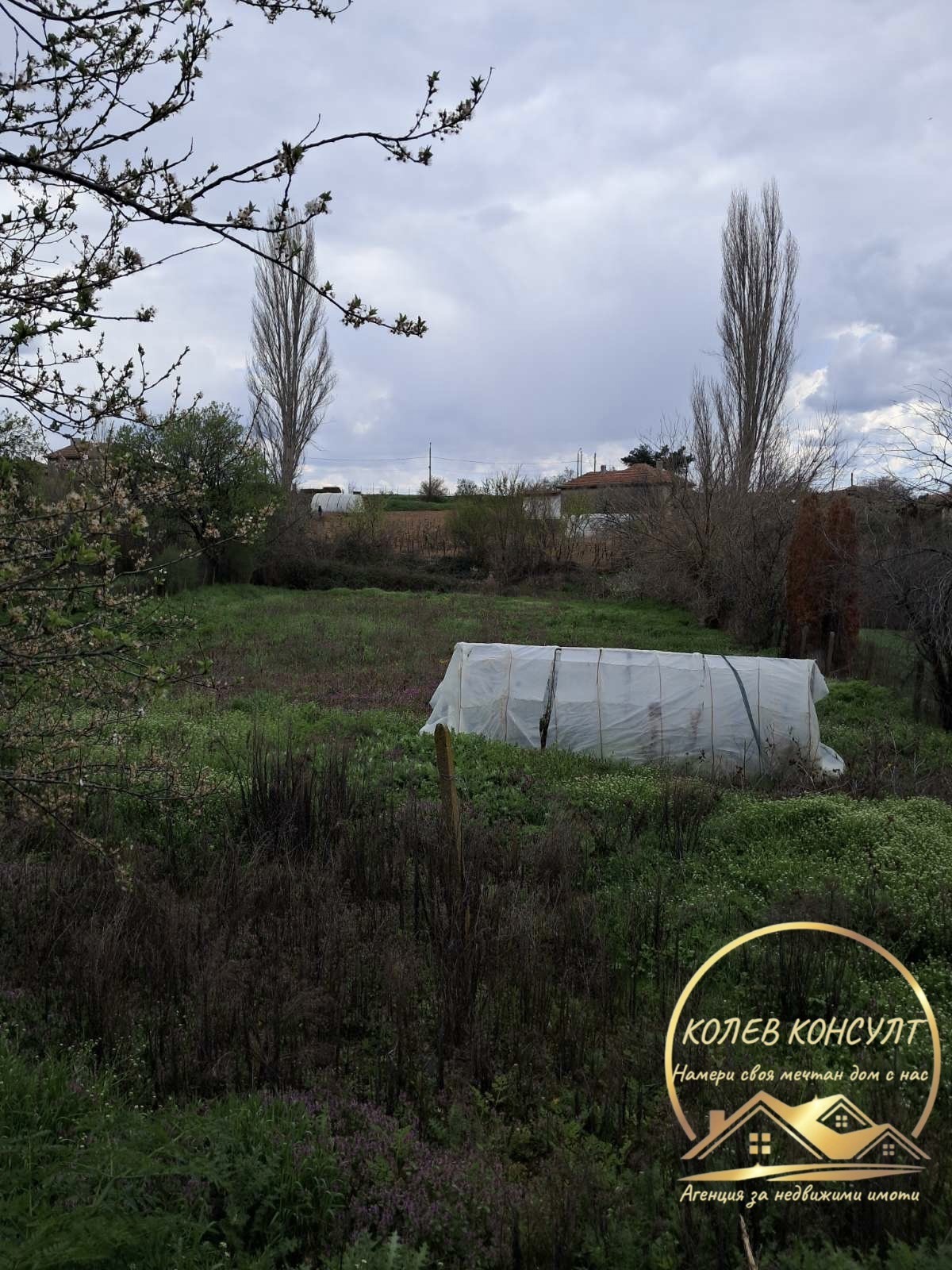 Продава КЪЩА, с. Изворово, област Хасково, снимка 5 - Къщи - 54796303