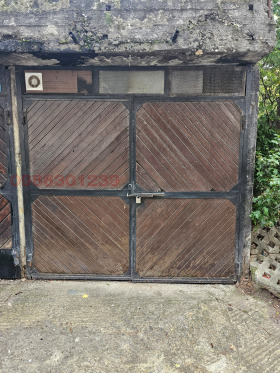 ����� ������� �����,���� ������, ������ �����