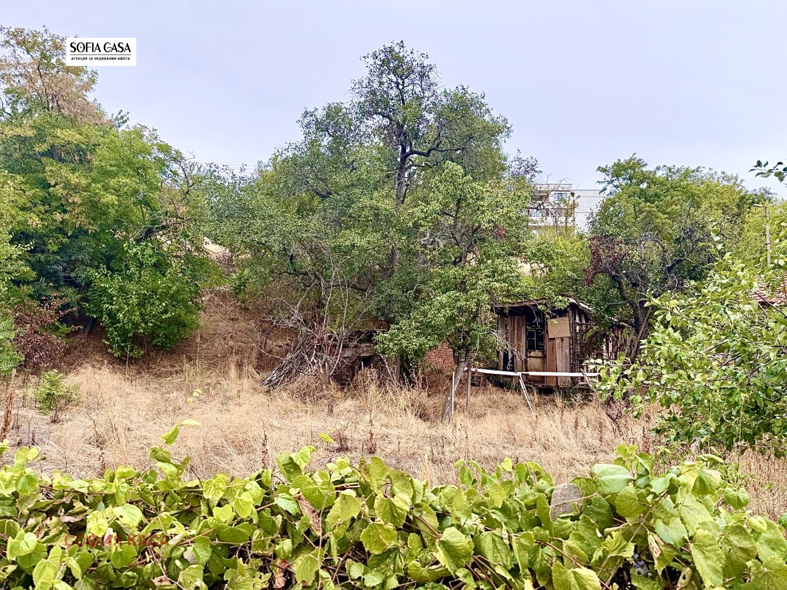 ������� ������ | Imot.bg � ����������� 6