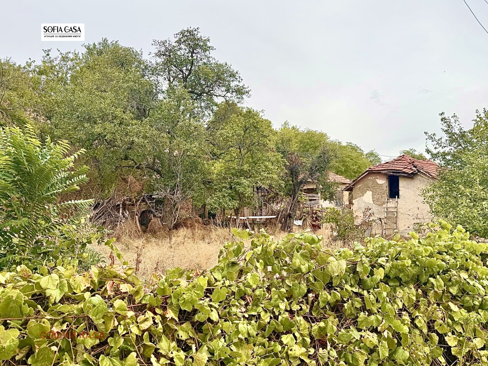 ������� ������ | Imot.bg � ����������� 2