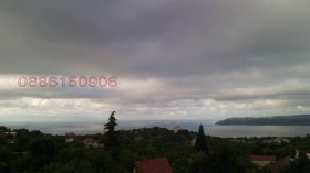 ����� ������� ������,���� �����, ����� ������