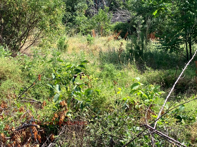 Продаја  Кућа регион Стара Загора , Далбоки , 42 м2 | 15915285 - слика [7]