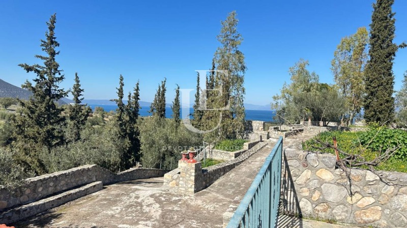Продава  Къща, Гърция, Евбея •  600 000 EUR • ID 64535842 — holmes.bg - [1] 
