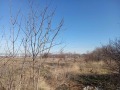 Продава ПАРЦЕЛ, гр. София, Суходол, снимка 2