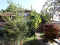 Продава КЪЩА, област Русе, с. Босилковци • 119000 € • 63579862 — Holmes.bg