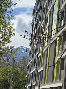 ������� ����� | Imot.bg � ����� ������ 2