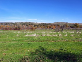 ����� ������� ���������� ����,�. ���� �������, ������ �������