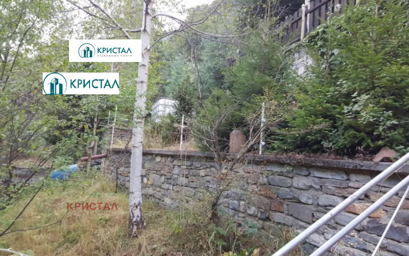 Продава КЪЩА, с. Бойково, област Пловдив, снимка 7 - Къщи - 48020371