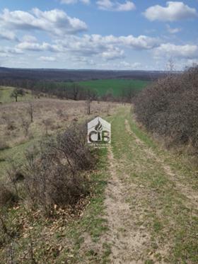 ������� ������ | Imot.bg � ����� ������ 3