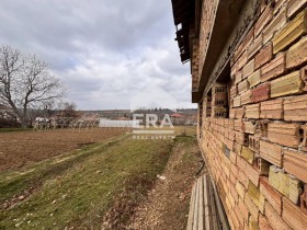 Plot Borovo, region Ruse 4