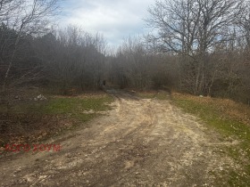 ������� ������ | Imot.bg � ����� ������ 5