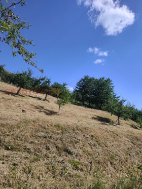 ������� ���������� ���� | Imot.bg � ����� ������ 13