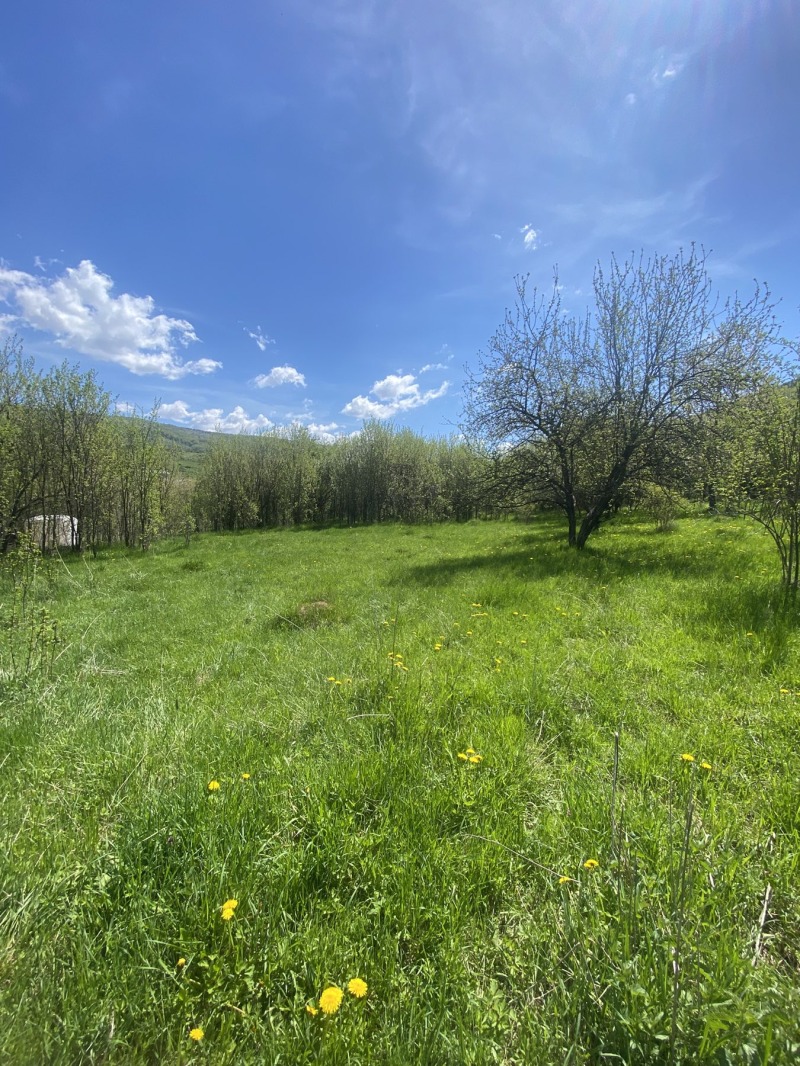 Na prodej  Spiknutí oblast Sofia , Godeč , 1130 m2 | 74501283