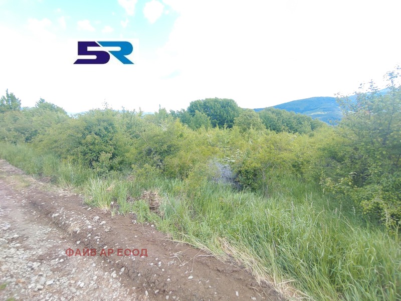 De vânzare  Complot regiunea Pernik , Cladnița , 3995 mp | 42096435 - imagine [4]