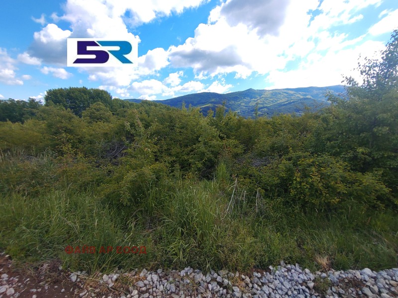 De vânzare  Complot regiunea Pernik , Cladnița , 3995 mp | 42096435 - imagine [2]