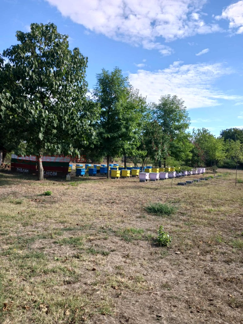 Продава ПАРЦЕЛ, с. Бръшлен, област Русе