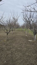 Продава КЪЩА, област Пловдив, с. Найден Герово • 34900 € • 74516301 — Holmes.bg