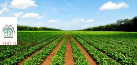 ����� ������� ���������� ����,��. �������, ������ �������