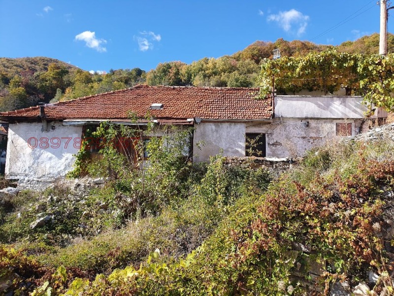 Продава КЪЩА, с. Делчево, област Благоевград, снимка 3 - Къщи - 52868861