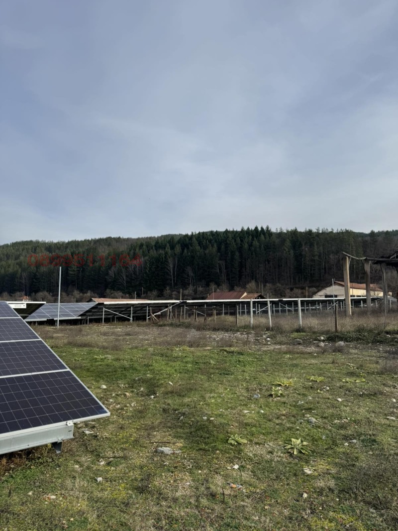 Продава БИЗНЕС ИМОТ, с. Ваксево, област Кюстендил, снимка 5 - Други - 52779966