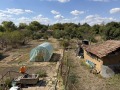 Продава КЪЩА, с. Вирове, област Монтана, снимка 4